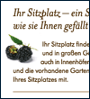 Grafik - Anzeige Werbung
